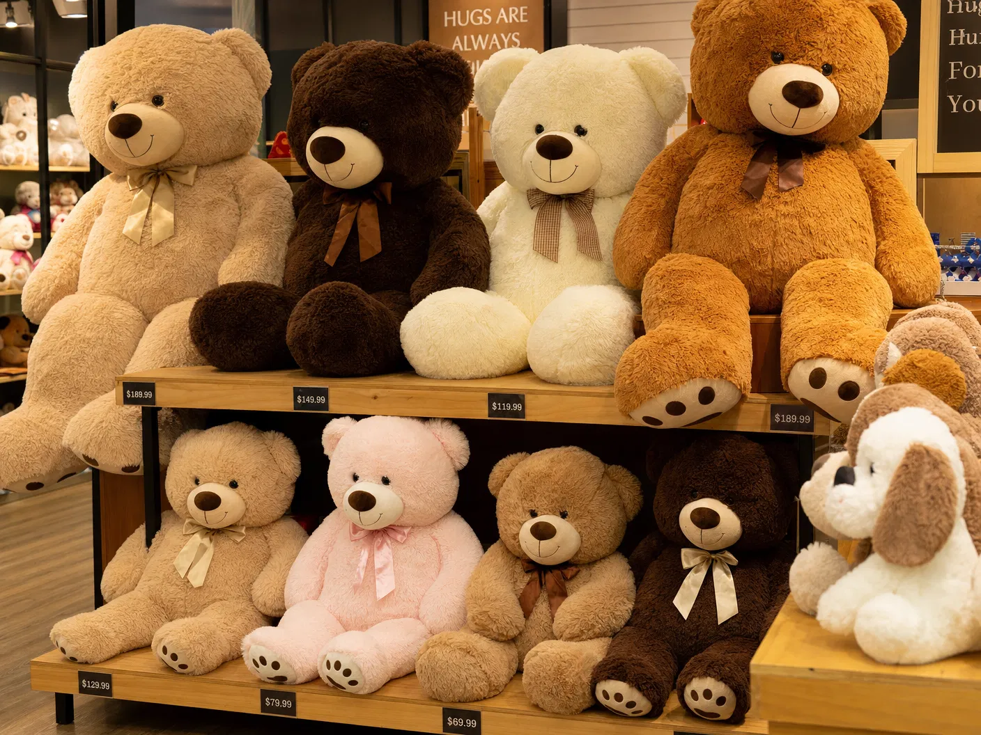Oversized plush bears on retail store shelves